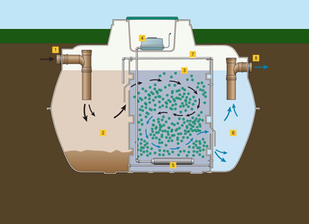 insights-effluent | SepticSitter™